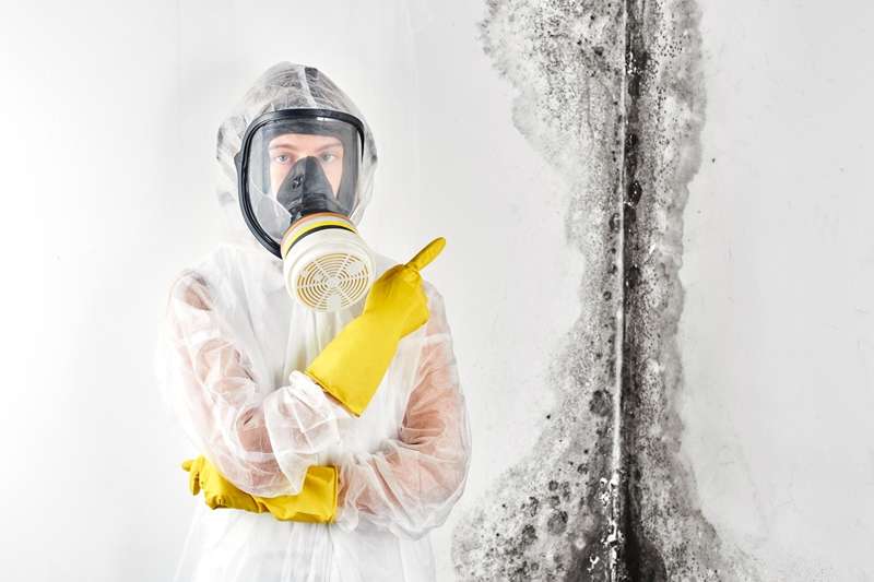 Inspecion for Mold Mold Remediation Tucson Mold Remediation